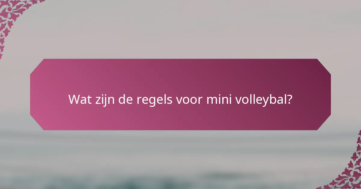 Wat zijn de regels voor mini volleybal?